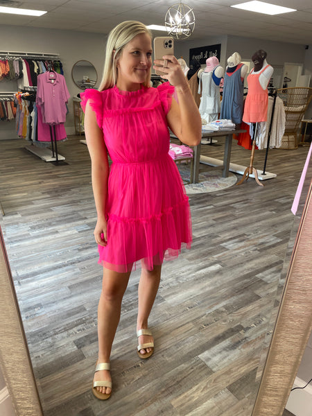 Mesh Ruffled Mini Dress - Pink